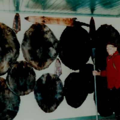 Joe Nickerson with beaver skins 1980