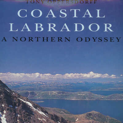 Coastal Labrador