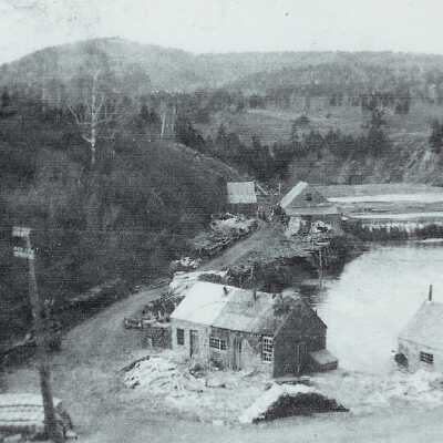 Ducktrap facing upriver