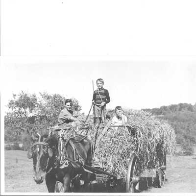 Driving the hay wagon