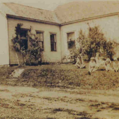 2336 Belfast Road