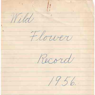 Wildflower Records from the Lincolnville Central School - 1956