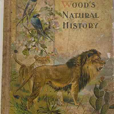 Wood's Natural History