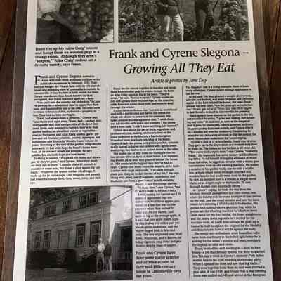 Slegona, Frank & Cyrene