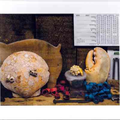 M & L Seafood Photograph