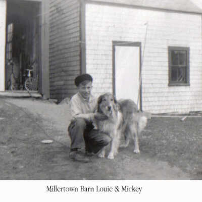 Millertown Barn: Louie and Mickey