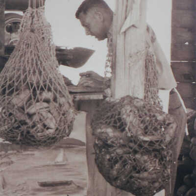 Maurice Young