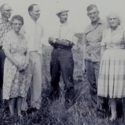 Young, Hardy families