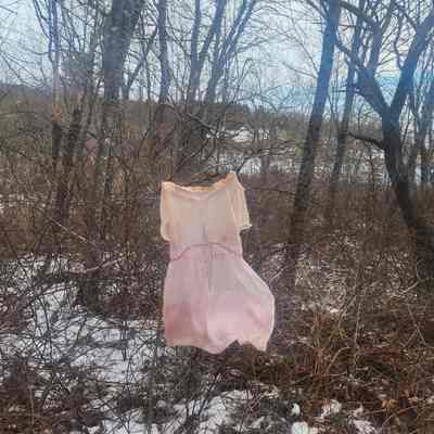 Pink organza underdress