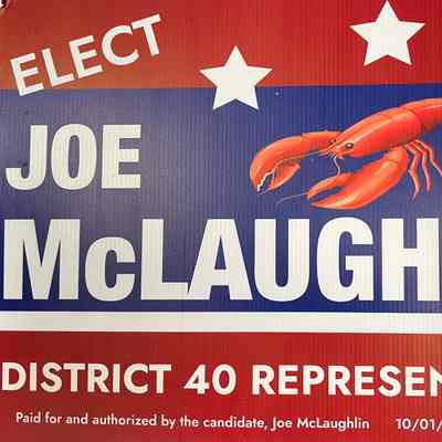 Political Sign