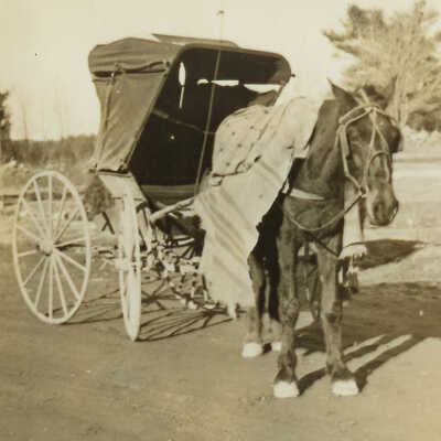 Horse and Buggy