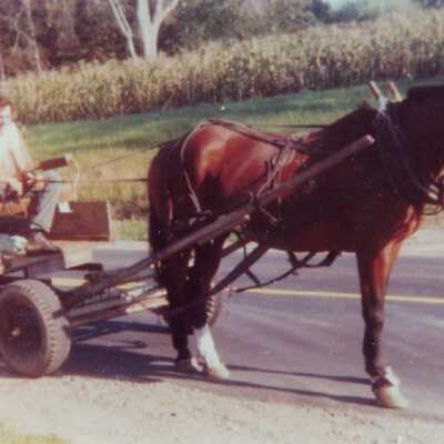 Rosey Gerry