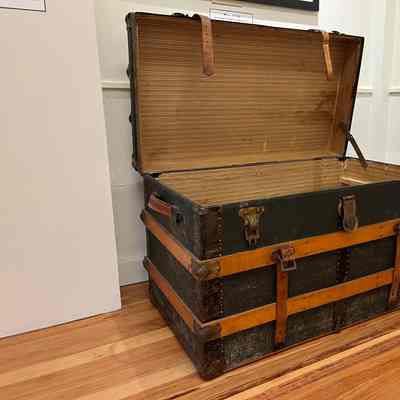 Fernald trunk
