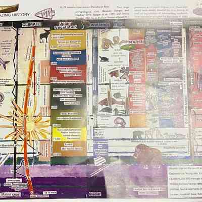 Hirundo Geological Timeline