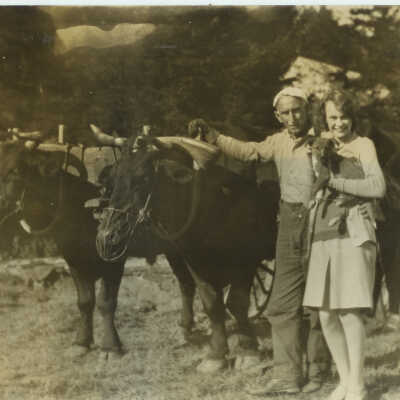 Aline Davis with Team of Oxen