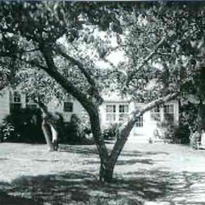 Prock's Tourist Home. 2370 Atlantic Highway