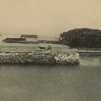 Ducktrap 1911