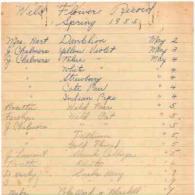 Wildflower Records from the Lincolnville Central School - 1955