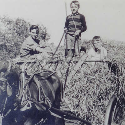 Lincolnville Family Photos, Misc.