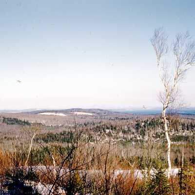1960's Ducktrap Mountain