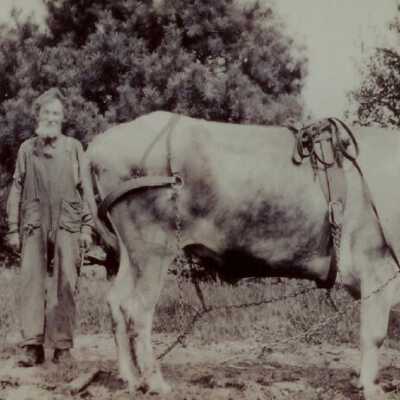 Captain Gus Bullock, Ai Young 1920