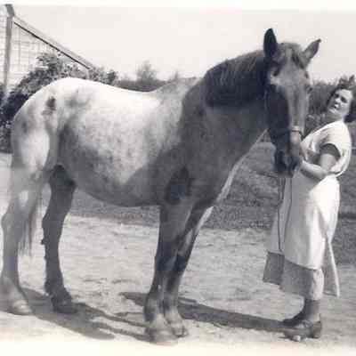 Claude and Ethel Heald Album