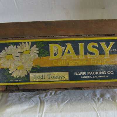 Box, Food-storage
