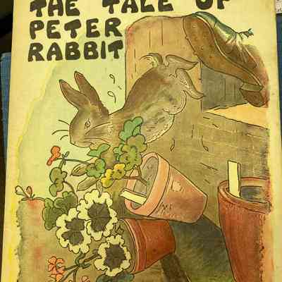 The Tale of Peter Rabbit