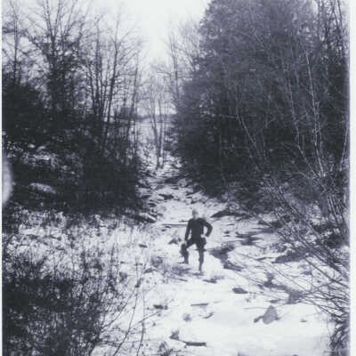 Will Davis