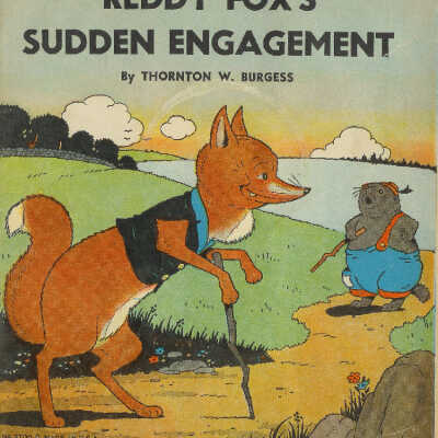 Child's book