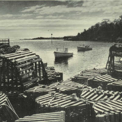 Along the Maine Coast