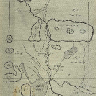 Moose River Valley
