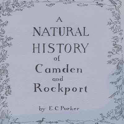 Natural History of Camden & Rockport, A