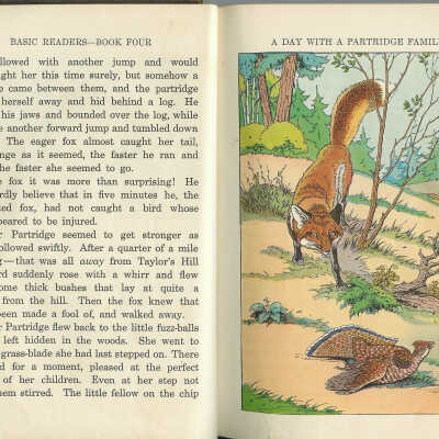 Elson-Gray Basic Readers Book Four