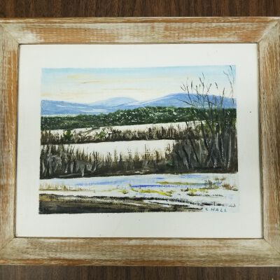 Back Country View