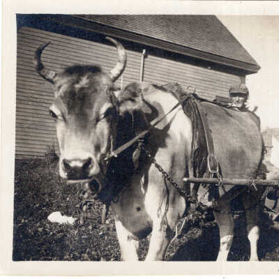 A.I. Young Photograph