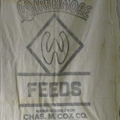 Cloth