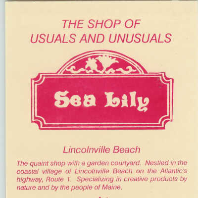 Sea Lily