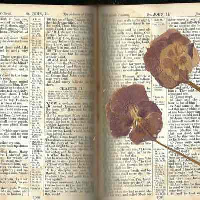 Bible