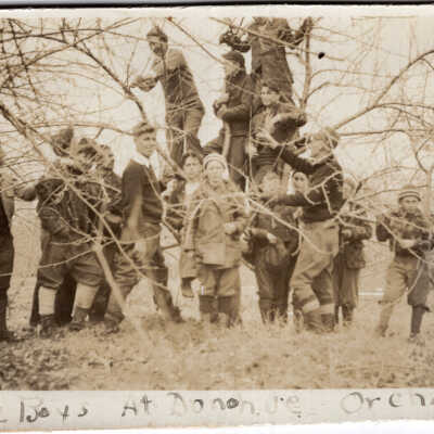 Airline Boys at Donohue Orchard
