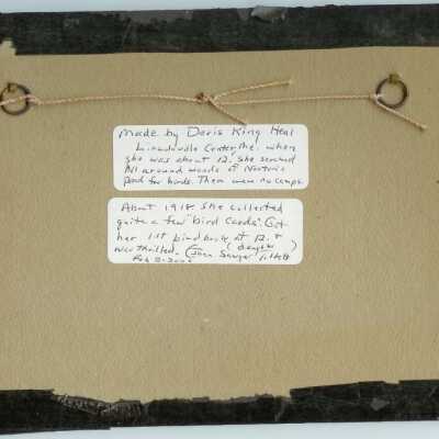 Back of bird cards