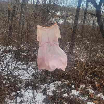 Underdress pink organza cotton