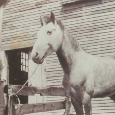 Ernest Young