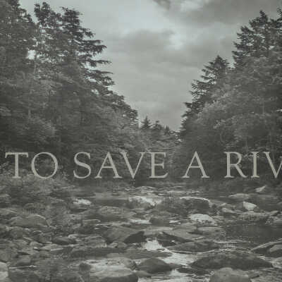 To Save A River