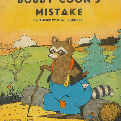 Child's book