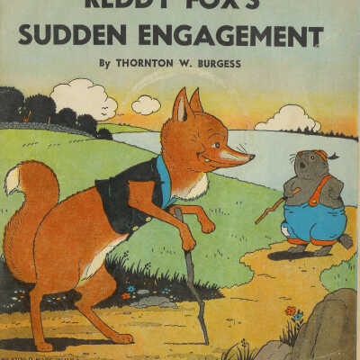 Reddy Fox's Sudden Engagement