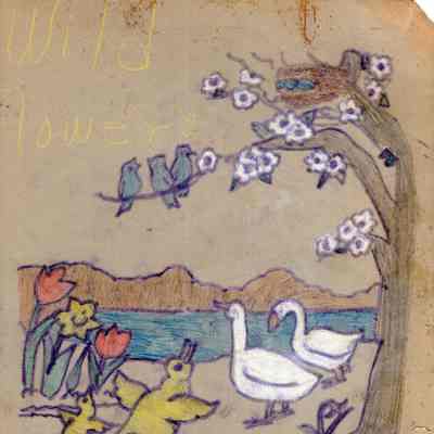 Wildflower Records from the Lincolnville Central School - 1950