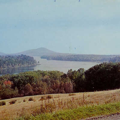 Pitcher Pond