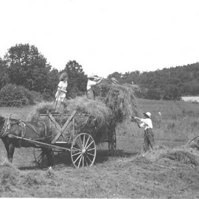 The Janneys and Thurlows haying summer of 1937