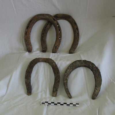 Horseshoe